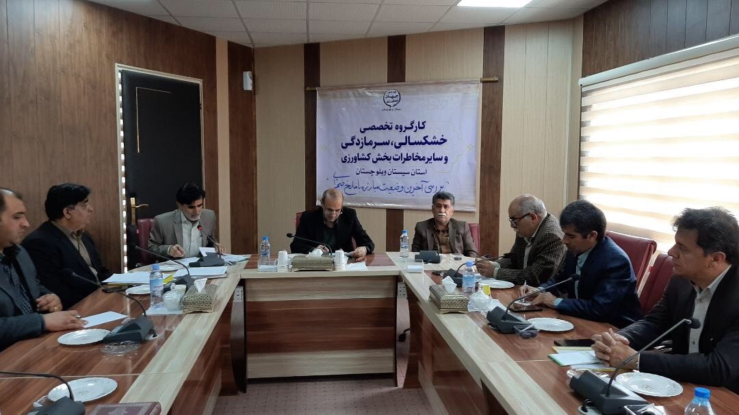 لزوم ایجاد آمادگی برای مبارزه با ملخ صحرایی در سطح ۳۰۰هزار هکتار در سیستان و بلوچستان