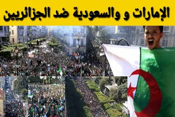 رمزگشایی از اهداف امارات و عربستان در الجزایر