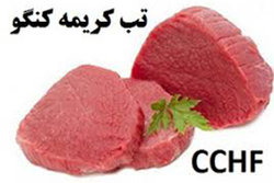 شبکه دامپزشکی باخرز نسبت به احتمال بروز بیماری تب کریمه کنگو هشدار داد.