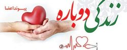 اهدای عضو، اهدای زندگی