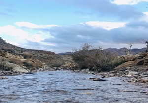 پیش بینی رگبار و رعد و برق در خراسان جنوبی