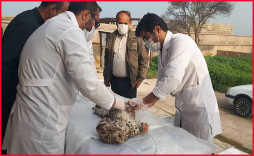 آخرین اخبار از مناطق سیل&zwnj;زده /تماس مشکوک برای اعلام بمب گذاری /