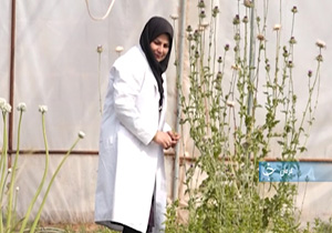 درخشش دلاور مردان کشورمان در حفظ مرزهای خلیج فارس تا کسب تندیس&zwnj;های بین المللی + فیلم