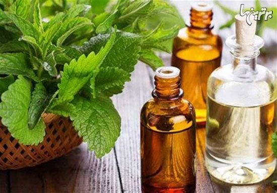 مغز به چربی حیوانی نیاز دارد مغز به چربی حیوانی نیاز دارد