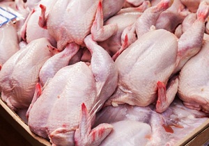 رئیس اتحادیه مرغ و ماهی همدان گفت: