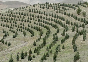 امسال ۱۵۰ میلیون یورو از صندوق توسعه ملی برای اجرای طرح&zwnj;های منابع طبیعی و آبخیزداری کشور در نظر گرفته شد