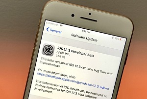 نسخه بتا IOS 12.3 منتشر شد