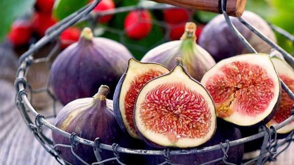 کنکور ۹۸/ کنکوری&zwnj;ها برای تقویت حافظه خود دور این گیاه دارویی را خط قرمز بکشند