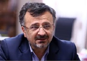 داورزنی: مسئولان امنیت ورزشگاه‌ها را تامین کنند