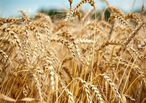 نگاهی گذرا به مهمترین رویداد&zwnj;های پنج شنبه ۱۲ اردیبهشت ماه در مازندران