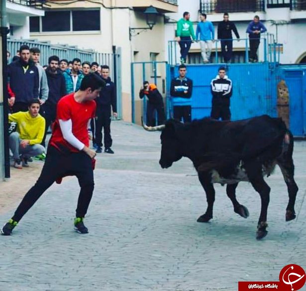 مرگ نوجوان خام در مسابقات گاوبازی اسپانیا + تصاویر////