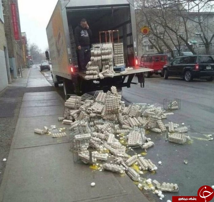 اگر روز خوبی نداشته اید این تصاویر را حتما ببینید//////////////////////
