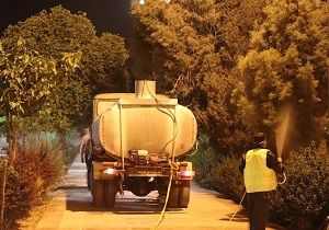 سمپاشی بهاره درختان فضای سبز، سطح شهر یزد آغاز شد