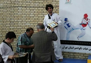 درخشش پاراتکواندوکاران اردبیلی در مسابقات قهرمانی کشور