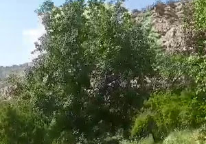 فیلمی از طبیعت بهاری در روستای بوان