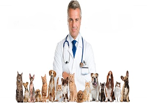 استخدام تکنسین دامپزشکی آقا در محدوده شیخ بهایی