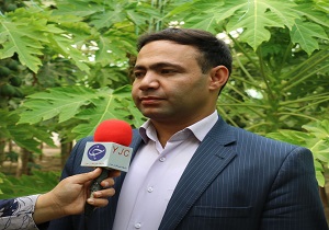 کشاورزان برای مبارزه با آفات مکنده در باغات پسته خاتم آمادگی لازم داشته باشند