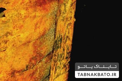 نماد یاغی گری در تاریخ از آن کیست؟ + تصاویر