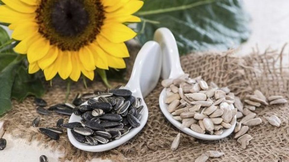 با این مواد غذایی بعد از 50 سالگی سلامت بمانید/ بیماری&zwnj;های حاد تنفسی به دنبال مصرف سیگارهای الکترونیکی/ 5 ویتامینی که اعصابتان را محکم&zwnj;تر می&zwnj;کند