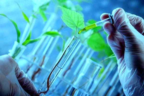 فعالیت ۵۰۰ شرکت دانش بنیان در حوزه زیستی/ رشد مناسب ارزش اقتصادی ناشی از فناوری‌ها