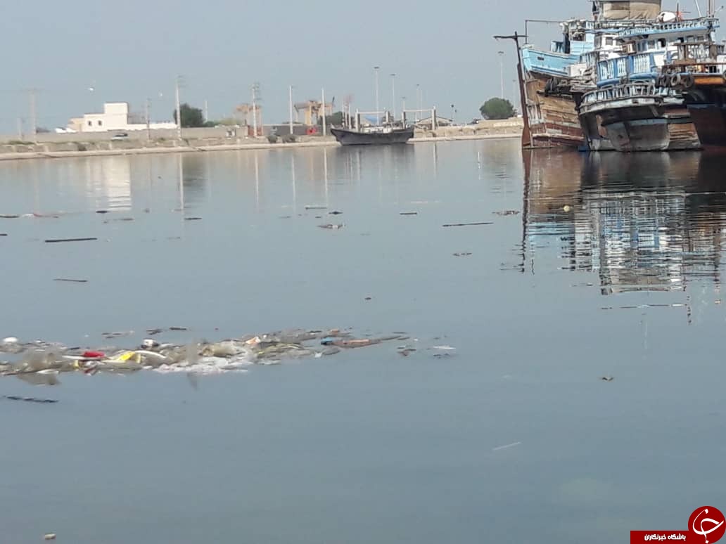 فاجعه زیست محیطی خور گناوه+عکس