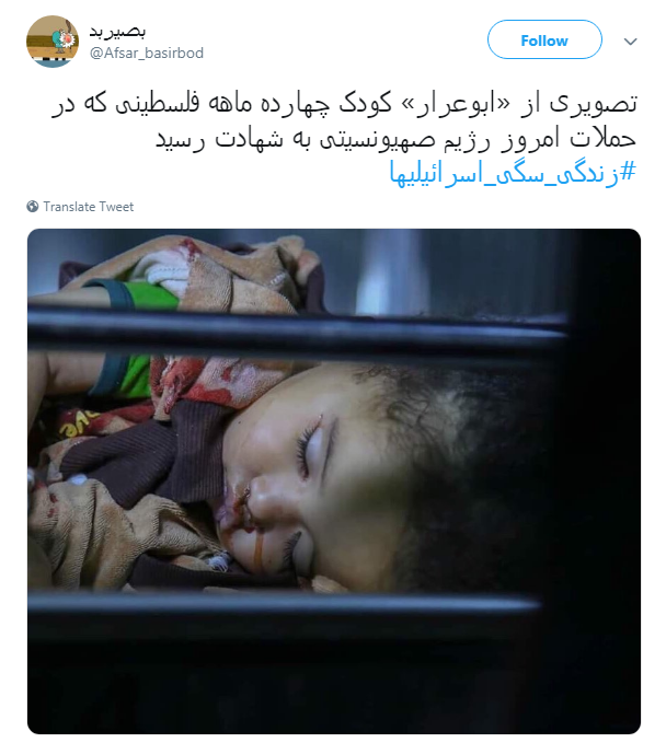 #زندگی_سگی_اسرائیلیها|خشم مقاومت نوش جان&zwnj;تان