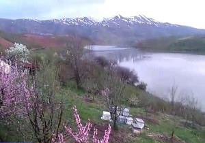 طبیعت زیبای  «توشمانلو» در قاب دوربین + فیلم