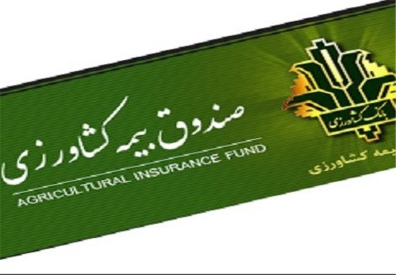 پرداخت غرامت ۱۳ هزار میلیارد ریالی بیمه کشاورزی در بخش باغات