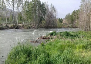 طبیعت سرسبز روستای &laquo;درچه کلماران&raquo; + تصاویر