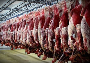 تیغ ارز نیمایی زیر گلوی گوشت گوسفندی