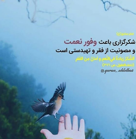 حدیثی از امام صادق(ع) در خصوص شکرگزاری +تصویرنوشته