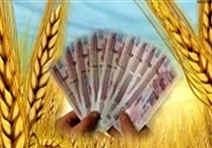 پرداخت تسهیلات به ۶۰طرح اشتغال کشاورزی در طبس