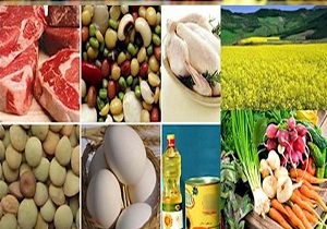 برای تامین کالا‌های اساسی مشکلی نداریم/ مردم نگران نباشند