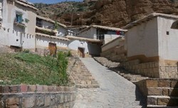 عطش ۲۰ ساله هامون فرو نشست + فیلم