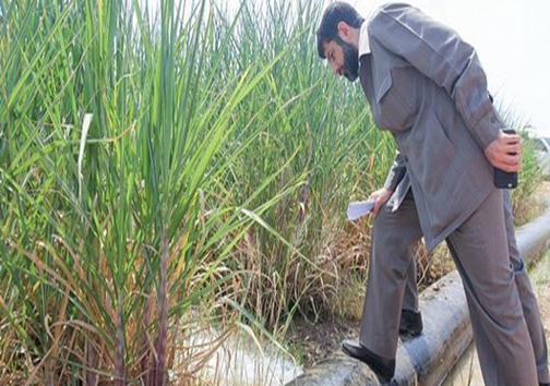 صدور کیفرخواست برای متهم اصلی پرونده قورباغه مکران/آخرین جزئیات از باران ۸ ساله ربوده شده/شهادت مأمور ناجا در درگیری مسلحانه/ثبت شکایت از مهناز افشار در تهران