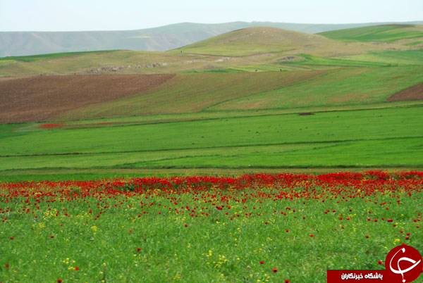 لیستی متفاوت از مکان های دیدنی اردبیل در تابستان