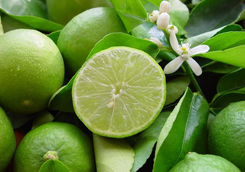 نگاهی به مراکز و بازارهای معروف فارس