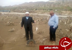 نابودی قطب انجیر کشور/ معضلی که سیل‌زدگان پلدختر و معمولان با آن مواجه هستند