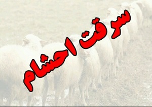 دستگیری باند حرفه ای  احشام در نهبندان