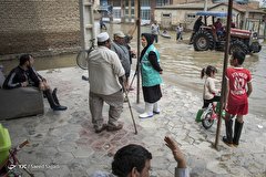 هم‌درد