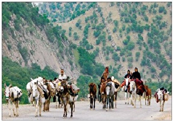 کوچ عشایر آذربایجان غربی آغاز شد کوچ عشایر آذربایجان غربی آغاز شد
