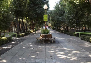 بتن و چهارباغ/ داستان همچنان ادامه دارد