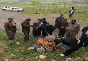 شکارچیان نادم بوکانی با طبیعت آشتی کردند