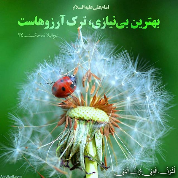 بهترین بی&zwnj;نیازی از منظر امام علی(ع) +تصویرنوشته