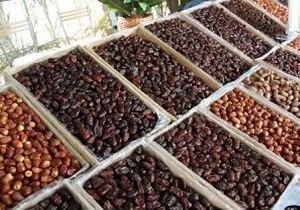 خرما‌های شهرستان طبس خانه دار می‌شوند