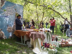 برگزاری جشنواره شکوفه&zwnj;های گیلاس در روستای زشک