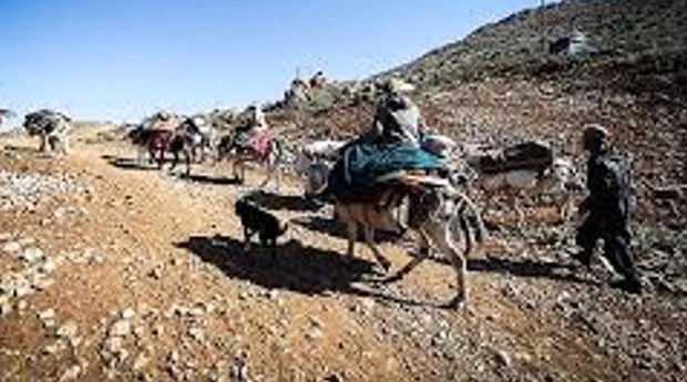 عشایر بدون مجوز کوچ نکنند