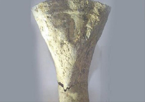 آنچه در استان ها گذشت؛