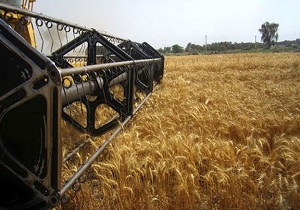 آمادگی ۹۹ مرکز خرید تضمینی گندم در استان کردستان