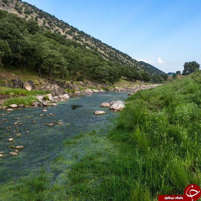 چشم&zwnj;اندازی از طبیعت بهاری در منطقه کهمان + تصاویر